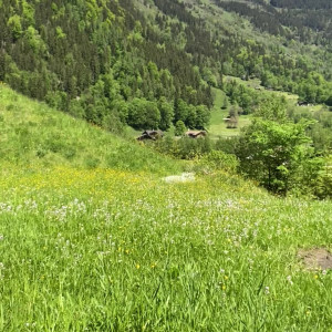 girlinmountain #5850896