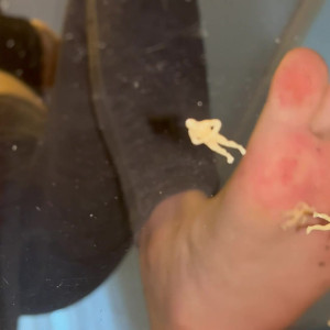 Video by gtslyse published on May 23,2023 10:15:00 - BestThots