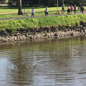Video by cocoalicemodel published on July 25,2023 21:34:00 - BestThots