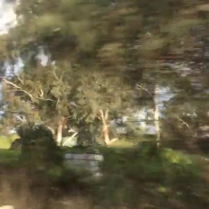 Video by cocoalicemodel published on March 8,2023 03:27:00 - BestThots