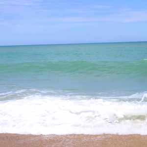 Video by cocoalicemodel published on June 29,2023 12:27:00 - BestThots