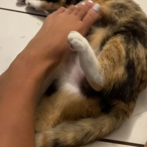 Video by goddesstalltasha published on April 12,2023 12:39:00 - BestThots