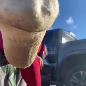 Video by goddesstalltasha published on July 17,2023 11:13:00 - BestThots