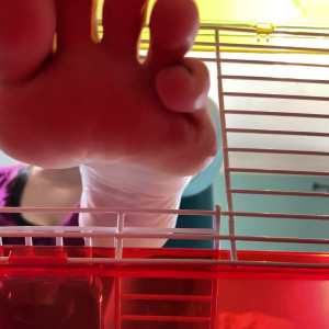 Video by goddesstalltasha published on June 8,2023 03:08:00 - BestThots