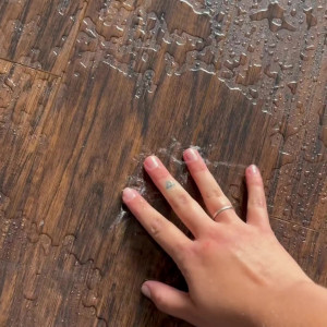 zaidamalick #3902677