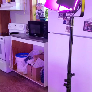Video by novanickels published on August 20,2023 11:28:50 - BestThots