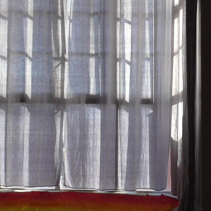 Video by lenidoll published on August 20,2023 11:45:45 - BestThots