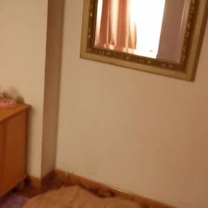 Video by lenidoll published on August 20,2023 11:47:02 - BestThots