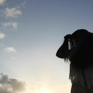 Video by lenidoll published on August 20,2023 11:58:09 - BestThots