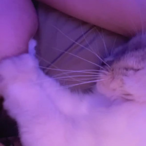 Video by foopahh published on April 20,2023 20:40:00 - BestThots