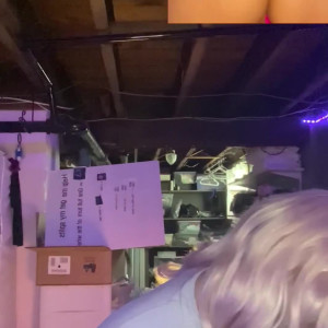 Video by foopahh published on June 27,2023 00:34:00 - BestThots