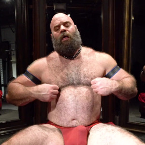 musclebulls #3431848
