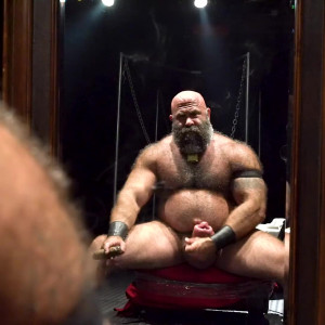 musclebulls #3431857