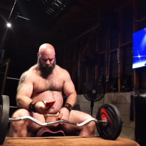 musclebulls #3431927