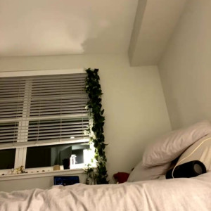 Video by tellydag0er published on April 2,2023 20:52:00 - BestThots