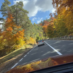 Video by anisyia published on June 22,2023 05:21:00 - BestThots