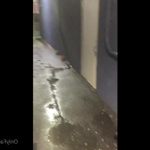 wedgiebrat420 #5261002