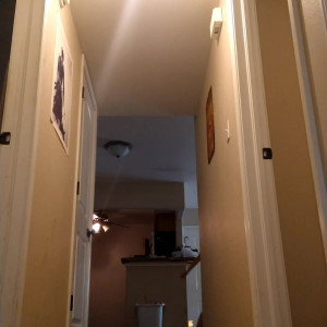 Video by weebempresskittenlee published on May 2,2023 08:32:00 - BestThots