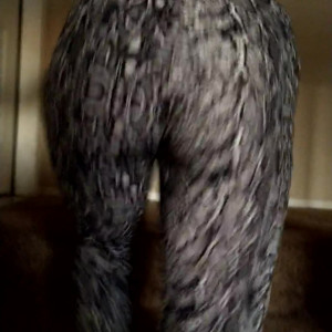 Video by weebempresskittenlee published on April 8,2023 21:00:00 - BestThots