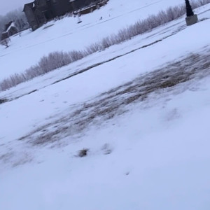 Video by katelyn_runck published on August 4,2023 18:59:00 - BestThots