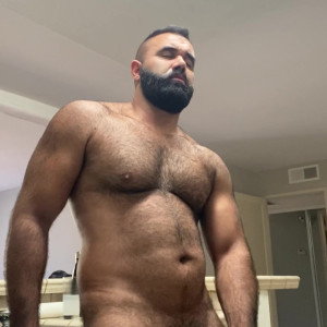 alphatopwolf22 #5340182