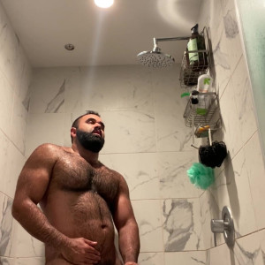 alphatopwolf22 #5429594