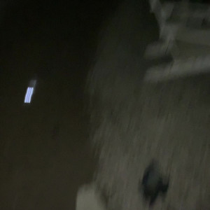Video by evanotty published on April 20,2023 06:08:00 - BestThots