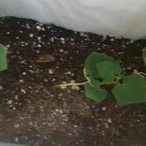 Video by evanotty published on August 19,2023 19:23:00 - BestThots