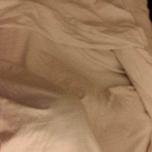 Video by evanotty published on July 26,2023 08:09:00 - BestThots