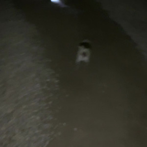 Video by evanotty published on March 2,2023 09:56:00 - BestThots