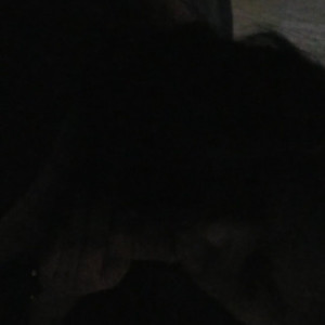 Video by tommypistol published on August 15,2023 21:11:04 - BestThots