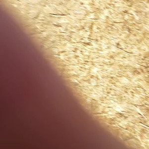 Video by tommypistol published on August 15,2023 21:15:59 - BestThots