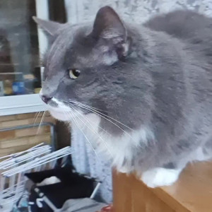 Video by abigailbarrybbw published on November 20,2023 16:34:39 - BestThots