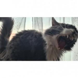 Video by abigailbarrybbw published on November 20,2023 16:35:17 - BestThots