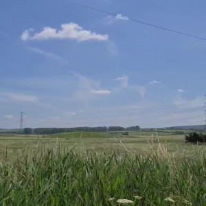 abigailbarrybbw #8409074