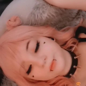 littlescarefox #5285687