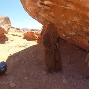 Video by trublacmedia published on April 8,2023 12:17:00 - BestThots