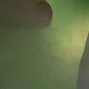 Video by skyler_xxx published on July 4,2023 00:14:00 - BestThots