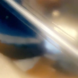 Video by skyler_xxx published on July 14,2023 13:25:00 - BestThots