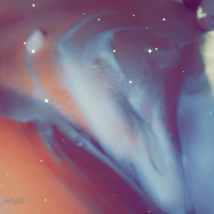 Video by skyler_xxx published on May 28,2023 20:35:00 - BestThots