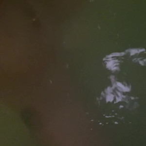 Video by skyler_xxx published on July 29,2023 00:48:00 - BestThots