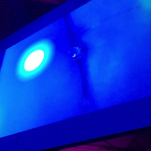 Video by livrevamped published on April 11,2023 22:52:00 - BestThots