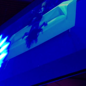 Video by livrevamped published on April 19,2023 22:54:00 - BestThots