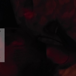 Video by bigdickchainyxxx published on August 26,2023 02:28:00 - BestThots