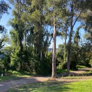 Video by danievedo published on July 12,2023 19:02:00 - BestThots