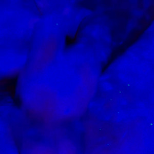 Video by thatgirlpuma published on March 7,2023 13:54:00 - BestThots