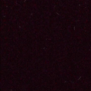Video by thatgirlpuma published on April 22,2023 19:08:00 - BestThots