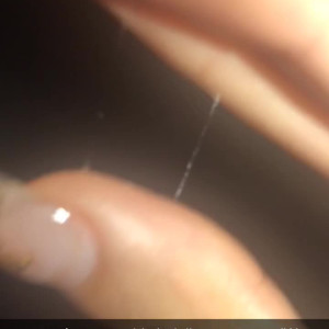 Video by thatgirlpuma published on March 7,2023 21:03:00 - BestThots
