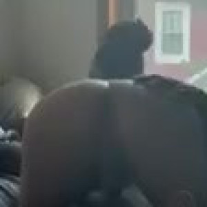 Video by thatgirlpuma published on April 9,2023 21:52:00 - BestThots