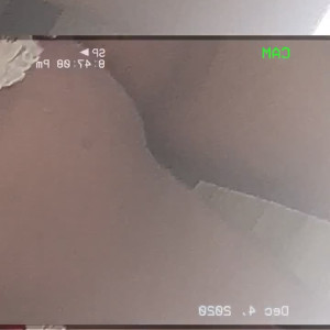 Video by thatgirlpuma published on July 15,2023 08:28:00 - BestThots